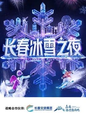 长春冰雪之夜海报