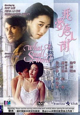 我爱唐人街(国语版)海报