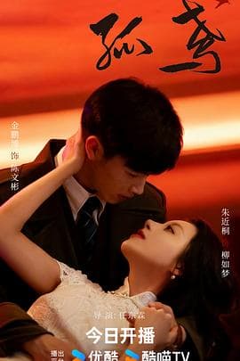 孤鸢海报