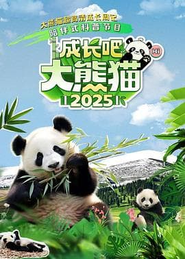 成长吧！大熊猫2025海报