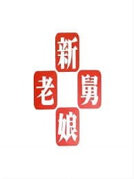 新老娘舅海报