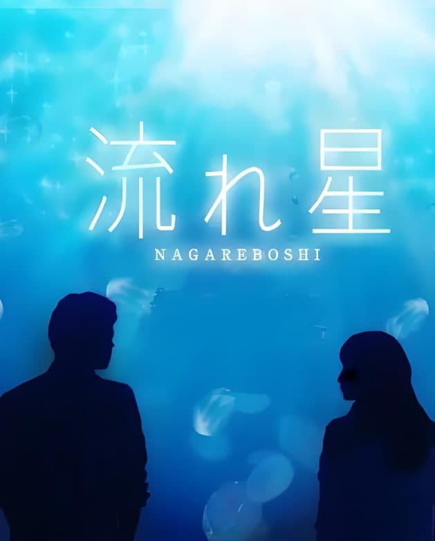 流星海报