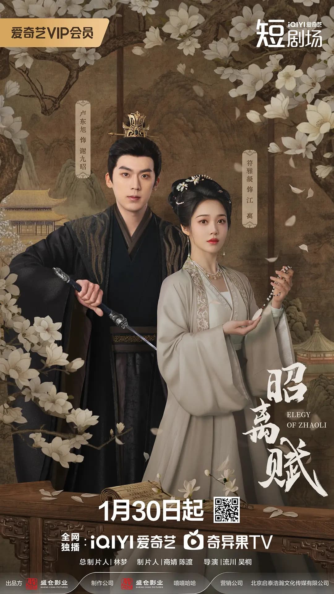 昭离赋海报