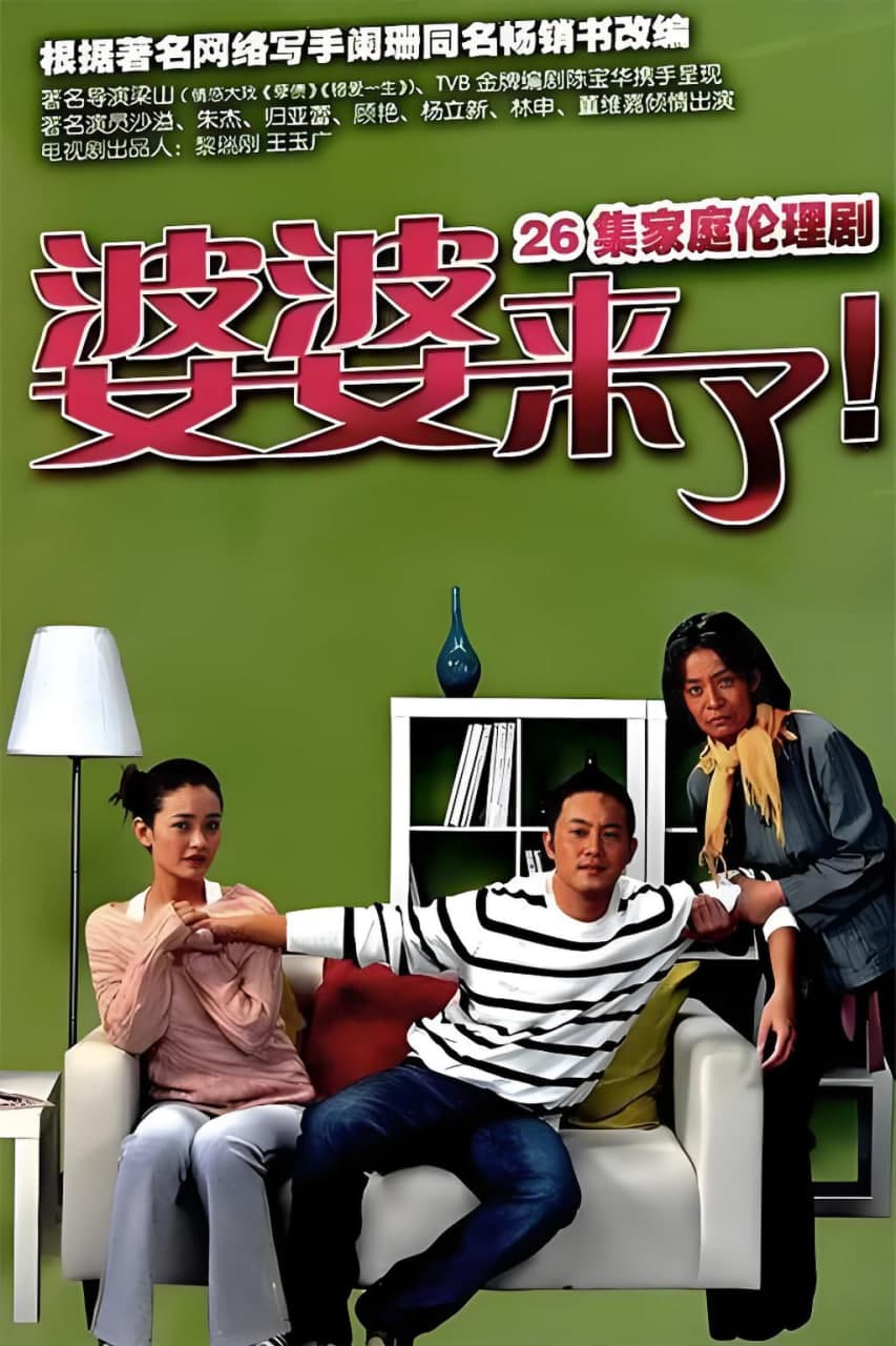 婆婆来了海报