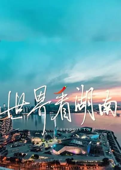世界看湖南海报