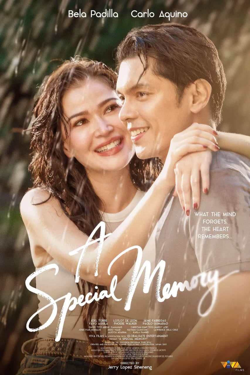 一段特别的回忆海报