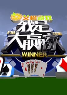 我是大赢家2017海报
