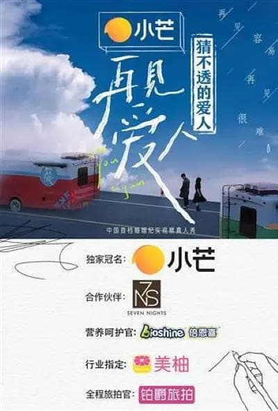 猜不透的爱人海报