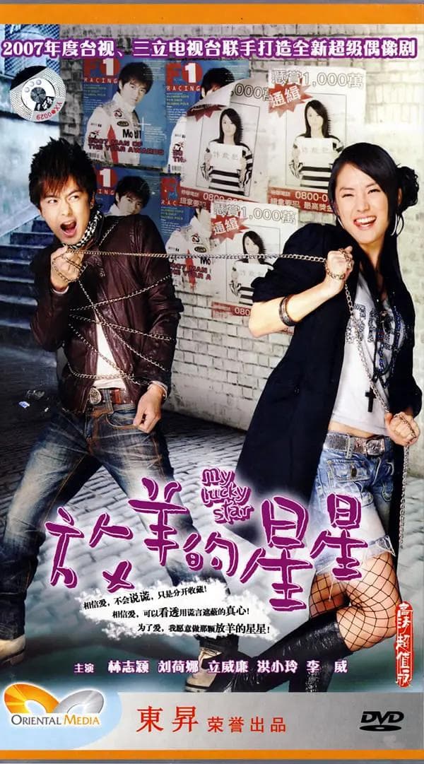 放羊的星星2007海报