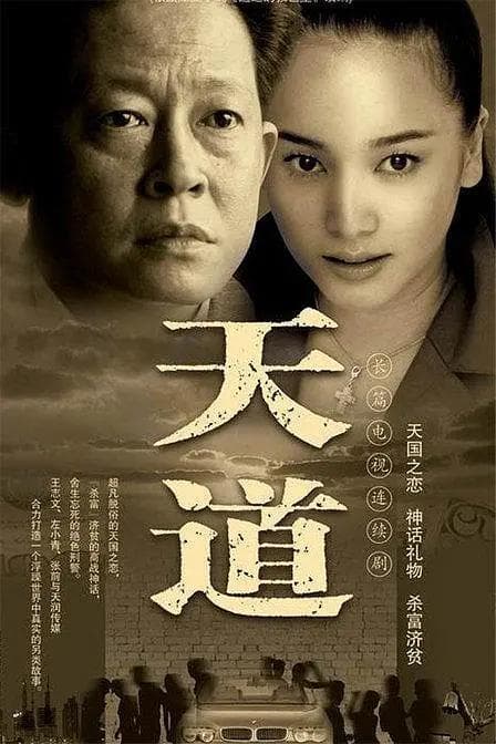 天道2008海报