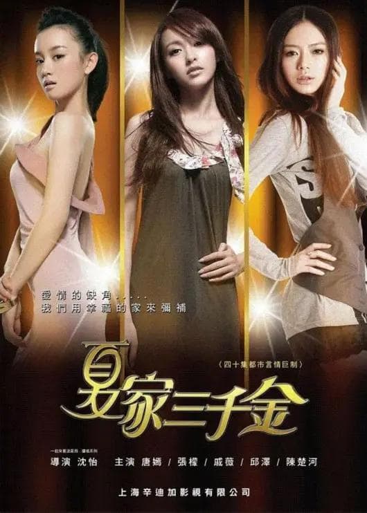 夏家三千金海报