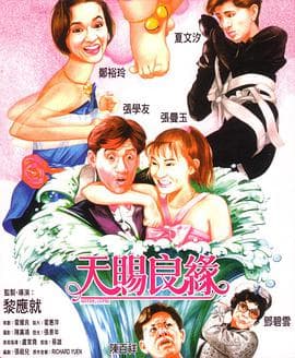 天赐良缘海报