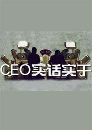 CEO实话实干海报