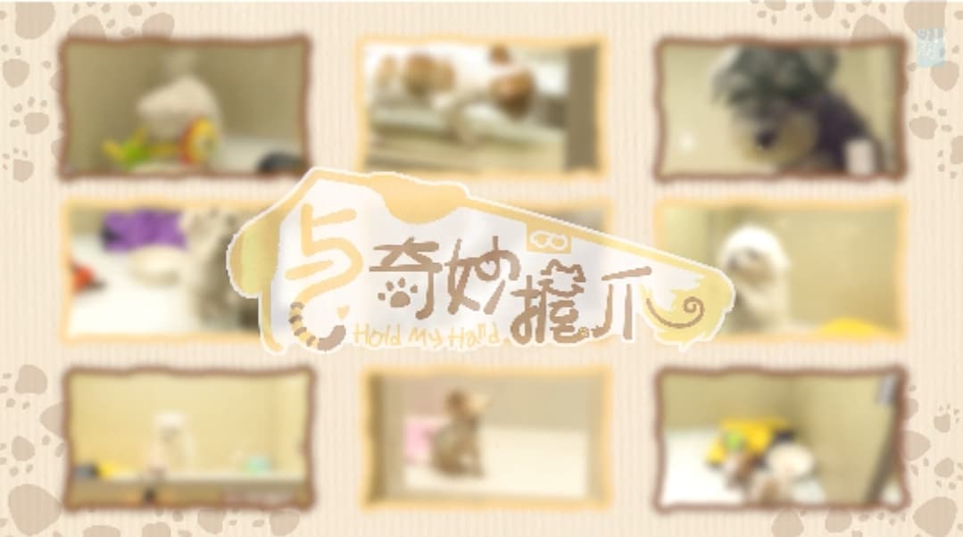与奇妙握爪海报