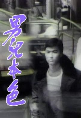 男儿本色国语海报
