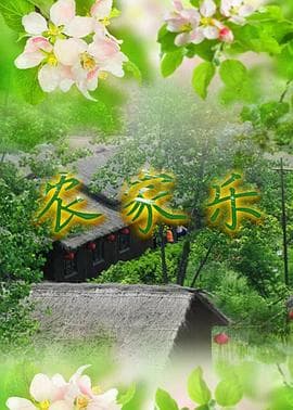 农家乐海报