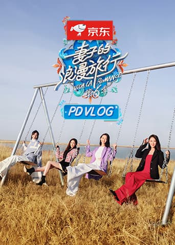 妻子的浪漫旅行6 PDvlog海报