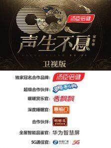 声生不息·家年华 卫视版海报