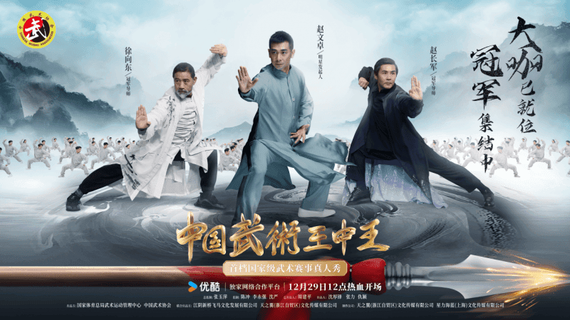 中国武术王中王海报