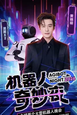 机器人奇妙夜海报