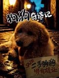 狗狗奇遇记海报