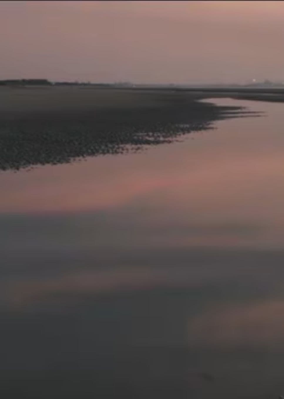 两个爸爸的故事海报