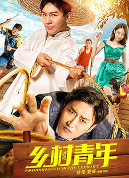 乡村青年海报
